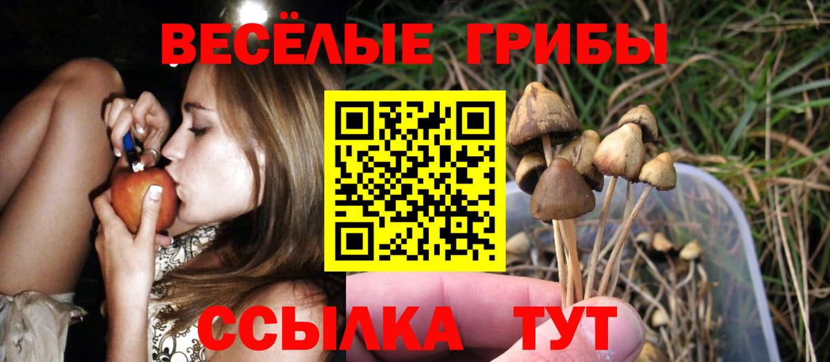 Псилоцибиновые грибы мицелий Кунгур